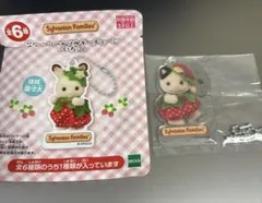 シルバニア　チャコールネコの赤ちゃん　アクリルキーチェーン　いちご