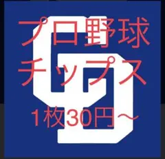 プロ野球チップス 中日ドラゴンズ