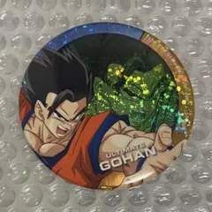 SEGA限定 ドラゴンボール ホログラム缶バッジ　孫悟飯