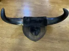 2025年最新】水牛の角インテリアの人気アイテム - メルカリ