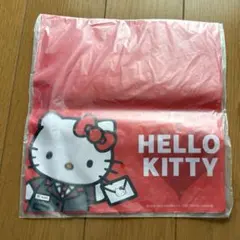 HELLO KITTY マルチケース（大）