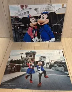 ❤︎イマジニングザマジック・ミッキー&ミニー❤︎フォト