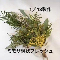 Item thumbnail for item ef527ecb-cc00-4ffb-a0c2-a6f6591836f8