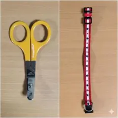 Item thumbnail for item 73fc9b1a-5cf4-4f49-80e3-9e5528df9ecb