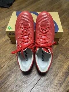 DS LIGHT X-FLY PRO 3【26.0cm】 - メルカリ