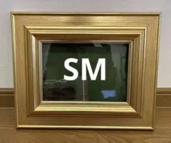 木製金色の油彩用額縁SMサイズ（未使用品）とキャンバスＳＭ,Ｆ3サイズ 木製金色の油彩用額縁SMサイズ（未使用品）とキャンバスSM,F3