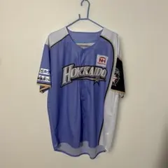 2025年最新】日本ハム ユニフォーム ラベンダーの人気アイテム - メルカリ