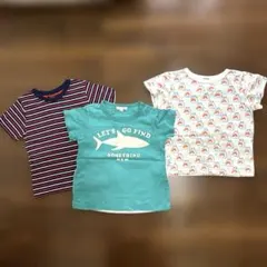 サメ　Tシャツのサムネイル