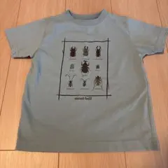 Item thumbnail for item 1535e0dd-a9ec-4b1f-bce4-76eebac3b492