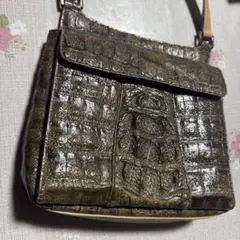 Item thumbnail for item fe6b20ec-3012-4a90-a5a9-8891de38f96e