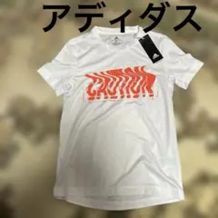 Item thumbnail for item ca30bfe9-626d-4d7f-a43a-7881ea1530ac