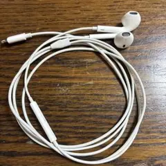iPhone付属品 アップル純正ライトニングイヤホンのサムネイル