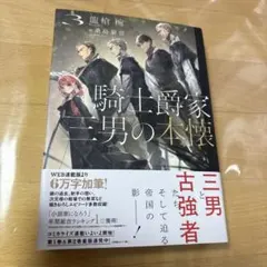 騎士爵家 三男の本懐3