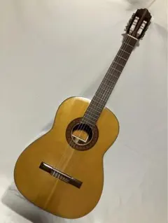 2025年最新】マルハギターの人気アイテム - メルカリ