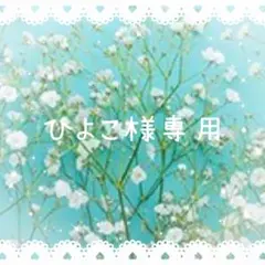 ひよこ様 リクエスト 2点 まとめ商品