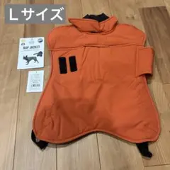 Item thumbnail for item 99917d86-e0c9-40e9-96c4-8ab75c01ce46