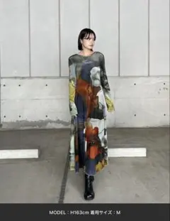 Ameri 2WAY RUST INK ART VELOUR DRESS