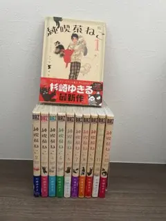 サンデープレミアムSHOP 犬夜叉 缶バッジ 原作絵柄 高橋留美子 日暮
