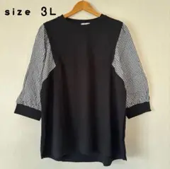 大きいサイズ Tシャツ
