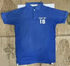 アバクロンビー＆フィッチ メンズ ポロシャツ ブルー L