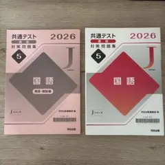 共通テスト2026 直前対策問題集 5 国語 河合出版のサムネイル