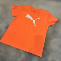 未使用品　PUMA オレンジ Tシャツ