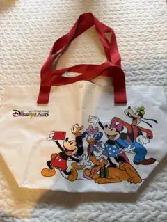 香港ディズニーランド　ショッパー