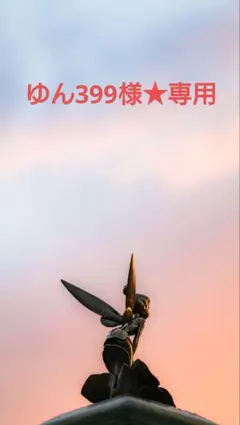 ゆん399様★専用