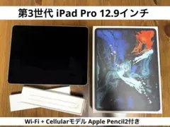 iPad Pro 12.9 Wi-Fi + Cellular 1TB ペン付き