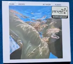 未開封新品 Young Dreams – Between Places