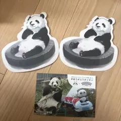 2026年最新】王子動物園タンタンの人気アイテム - メルカリ