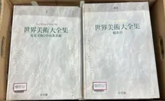 集英社 現代世界美術全集 全25巻 - メルカリ