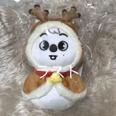 ハンクォッカ HAN QUOKKA ハン ポップアップ スキズ POPUP