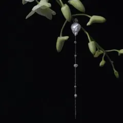 【しお様専用】バロックパール　ロング　イヤリング