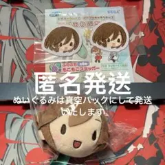 初音ミク セガラッキーくじ ふわぷち C賞　D賞　MEIKO 3点