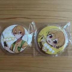 すとぷり るぅとくん 缶バッジ まとめ売り アリツア 旗持ち アリツア前半 すとぷり るぅとくん アリツア前半 デフォ - メルカリ
