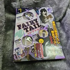 2026年最新】月刊 フェアリーテイルの人気アイテム - メルカリ