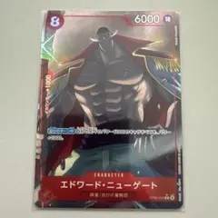 の*ち様 ワンピースカード スタートデッキ ルフィ＆エース エドワード・ニューゲ