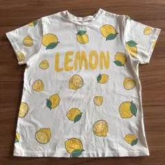 Item thumbnail for item 969a0c57-e31d-4c11-ba22-1f1537c3ab27