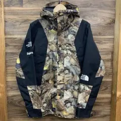 Item thumbnail for item 147a1675-9748-4c60-9185-636d9701be79