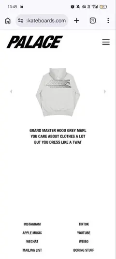 PALACE GRAND MASTER HOOD 2018 Summerのサムネイル