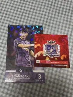 サンフレッチェ広島 ルヴァンカップ 入場特典カード 【ホログラム 山崎大地】