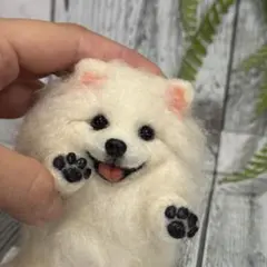 羊毛フェルト　手足が動かせる　ポメラニアン　うちの子　わんこ　犬