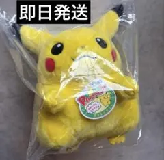 ポケットモンスター ポケモン30周年記念 おかえり！ピカチュウ1/1