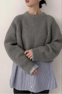 Mila Owen 丈短ニットシャツレイヤードトップス