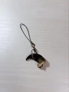 2026年最新】熊の爪の人気アイテム - メルカリ