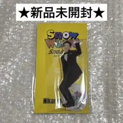 【新品未開封】 岩本照 Snow World アクスタ