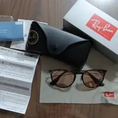 Ray-Ban ORB3539 エリカメタル サングラス