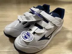 Item thumbnail for item c3acbcde-e46d-402a-8ea0-9a019137fda9