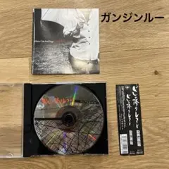 ガンジンルー　アルバムCD どしゃ降りレコード